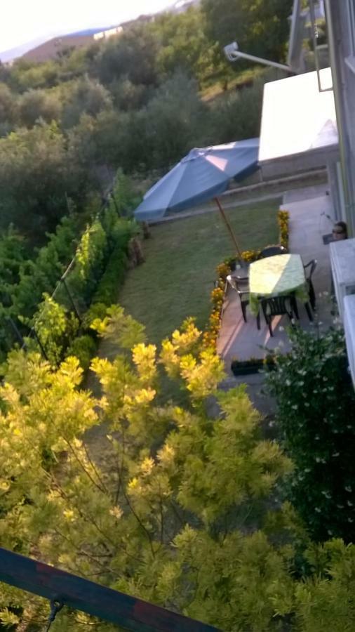 Apartament Botic *